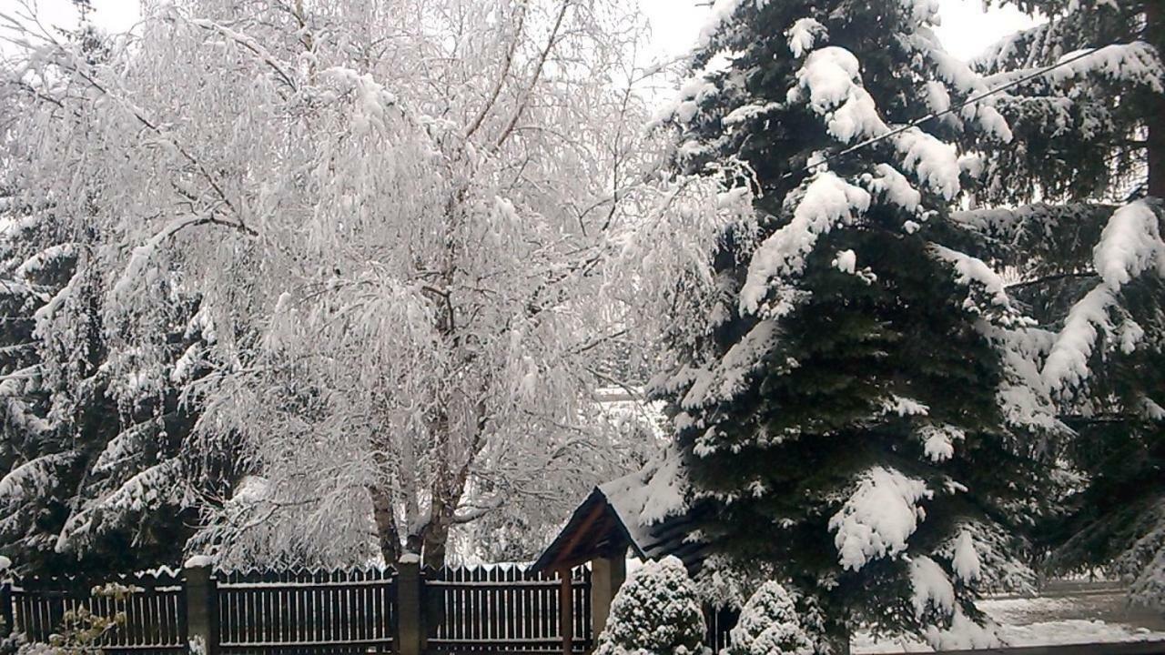 Pokoje Goscinne U Gochy Ustrzyki Dolne Exterior photo